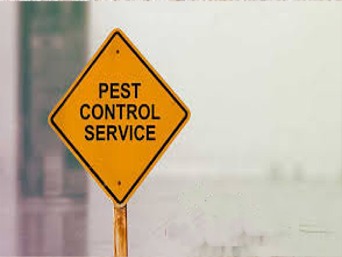 Ants Control 1 or 2 BHK