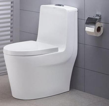 Western Toilet Installation